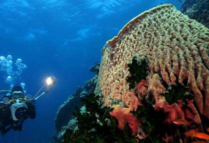 Puerto Galera © Philippine Department of Tourism
