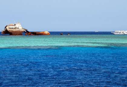 Tiran © shutterstock - Svietlieisha Olena
