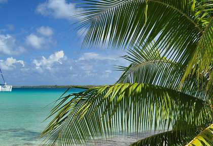 L'Aquatiki à Fakarava