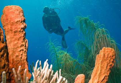 Guadeloupe