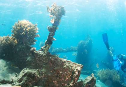 USS Liberty - Tulamben © Tauch Terminal - Lia Barret