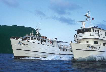 Hundersa Hunter - Costa Rica