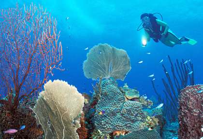 Turneffe Island Atoll © Turneffe Island Resort Dive Center