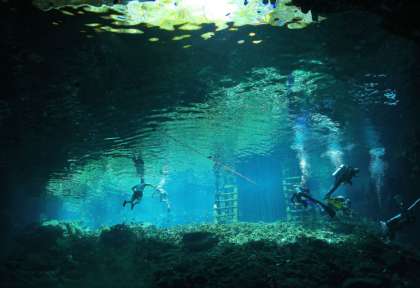 Yucatan
Playa Del Carmen