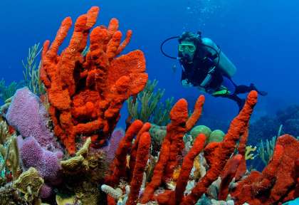 Playa Del Carmen © Kurt Amsler