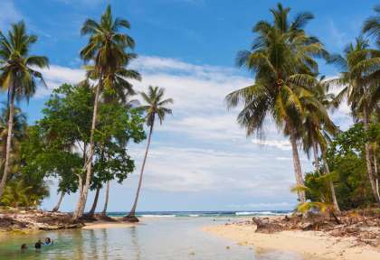 Cenderawasih © Shutterstock - Sunsinger