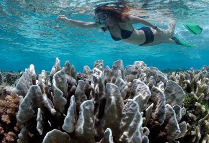 Tongian © Walea - Kurt Amsler