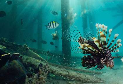 Sipadan Mabul © shutetrstock - think4photop