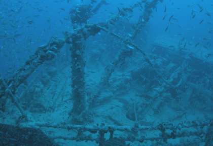 Rosalie Moller © Orca Dive Clubs