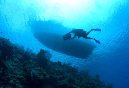 Plongée Cayman