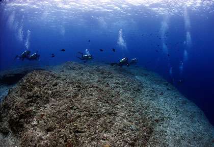 site de plongée à Palau