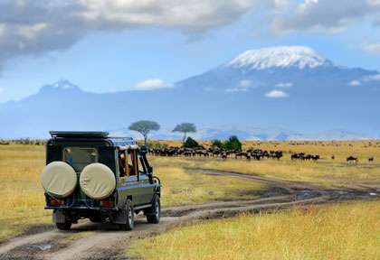 Safari animalier au Kenya