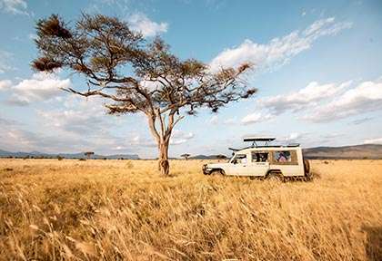 Safari au Kenya à Tsavo