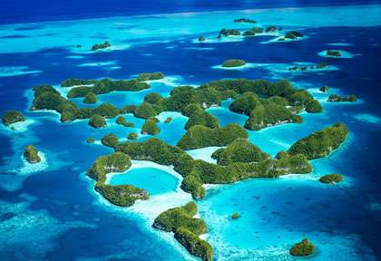 Croisière plongée à Palau