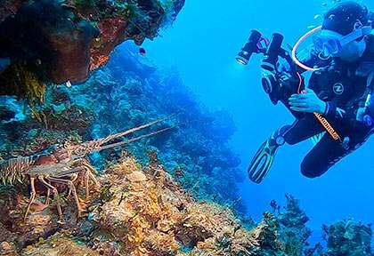 Plongée San Salvador aux Bahamas