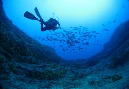 Le trou de la pieuvre à Tahaa
