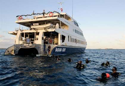 Croisière plongée aux Bahamas