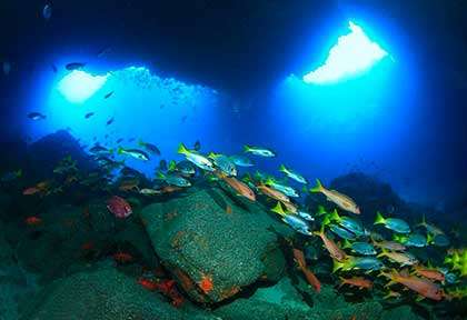 Plongée dans les grottes de Sao Nicolau