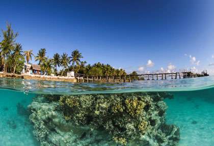 Plongée à Fakarava