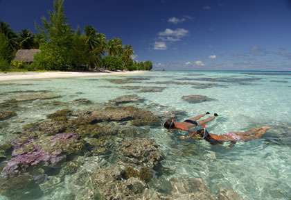 Snorkeling à Fakarava