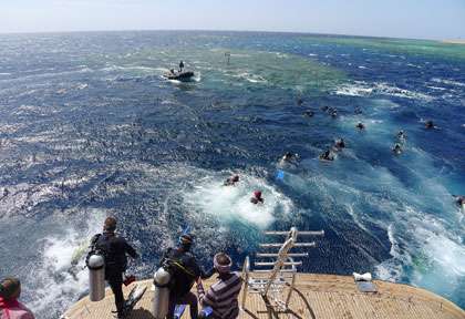 Croisière plongée avec Diving Attitude