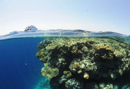 Croisière plongée avec Diving Attitude