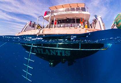 Croisière plongée en Egypte avec Diving Attitude