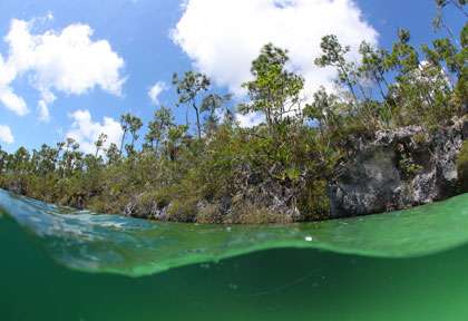 Blue hole aux Bahamas