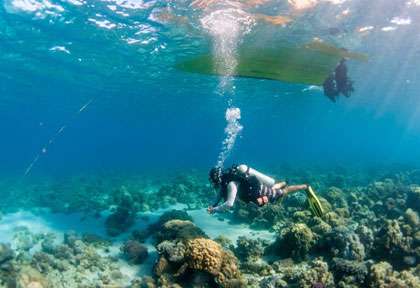 Nuarro Lodge au Mozambique