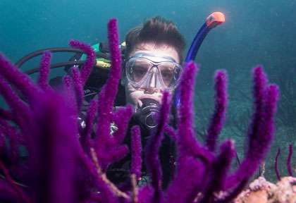 Voyage plongée à Mascate