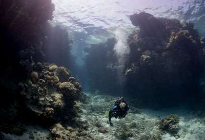 St Johns Reef