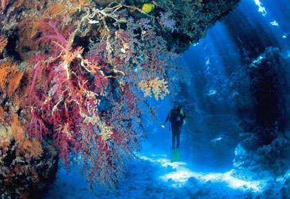 plongée St Johns Reef