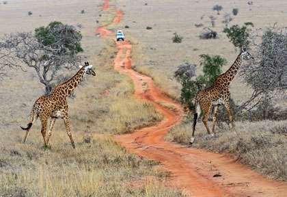 Par de Tsavo au Kenya