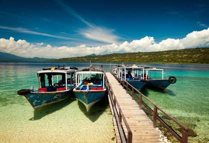 Plongée à Menjangan