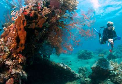 Plongée sur l'épave du US Liberty à Tulamben
