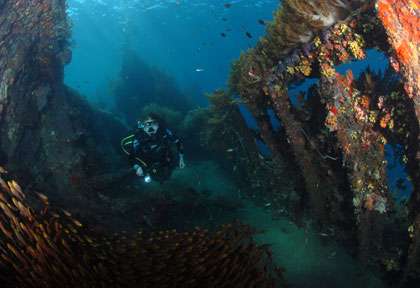Plongée sur l'épave du US Liberty à Tulamben