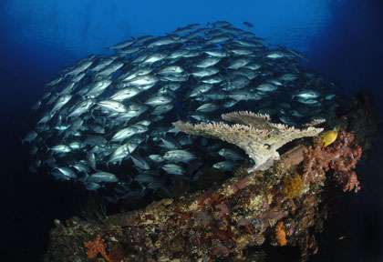 épave du Uss Liberty