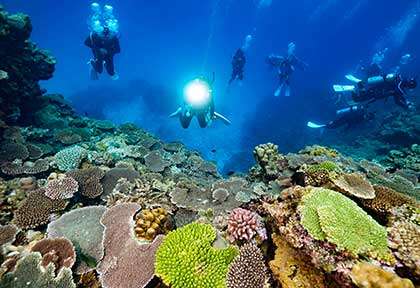 Plongée au Japon dans les Kerama