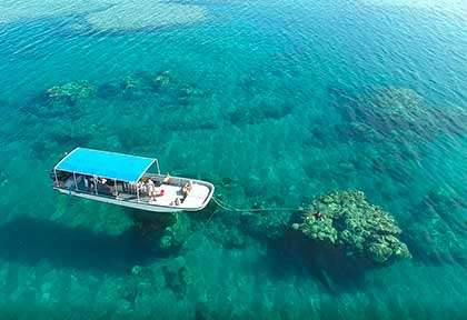 Plongée à Ishigaki