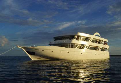 Croisière plongée aux Maldives