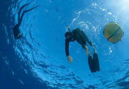 Records du monde d'apnée
