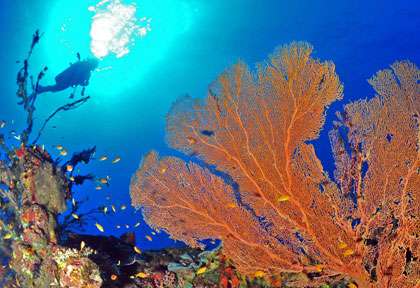 Archipel de Mitsio à Madagascar