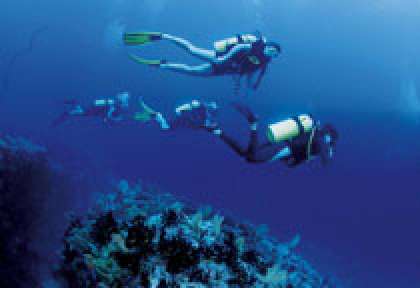 Palanquée à Desroches