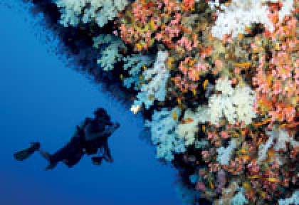 Tombants à Desroches