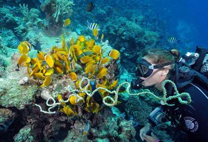 Plongée à Zanzibar