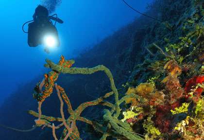 Les tombants d'Andros