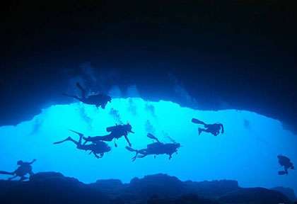 Plongée aux Bahamas