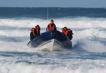 Plongée à Protea Banks en Afrique du Sud