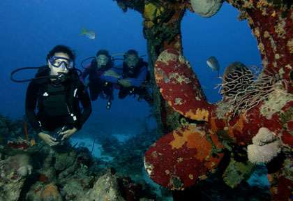 plongée à Nassau aux Bahamas