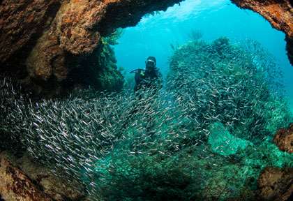 Grotte à Green turtle caye